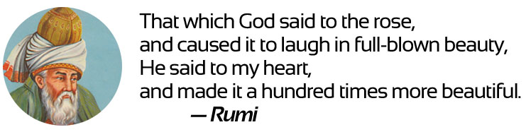 Rumi_Image.jpg